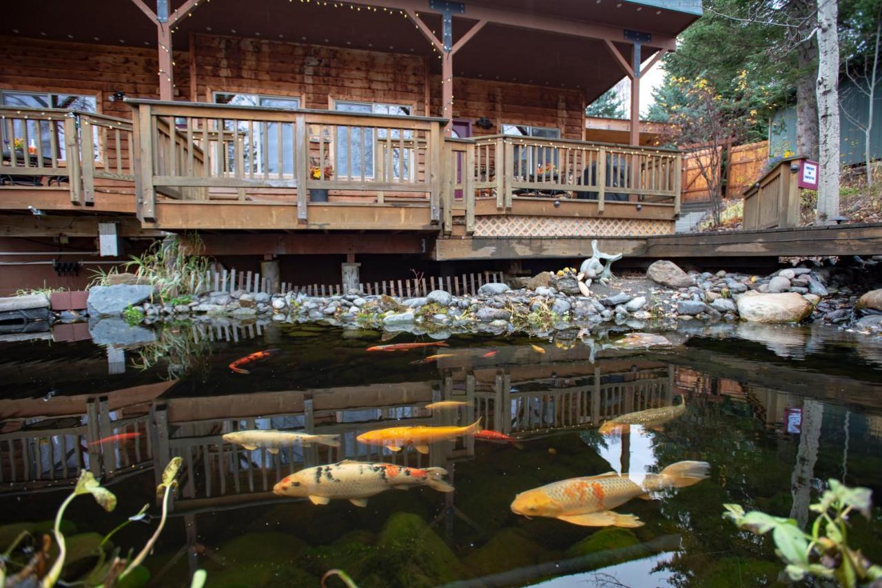 Bed and Breakfast Bear Creek Winery And Lodging Homer Exteriér fotografie