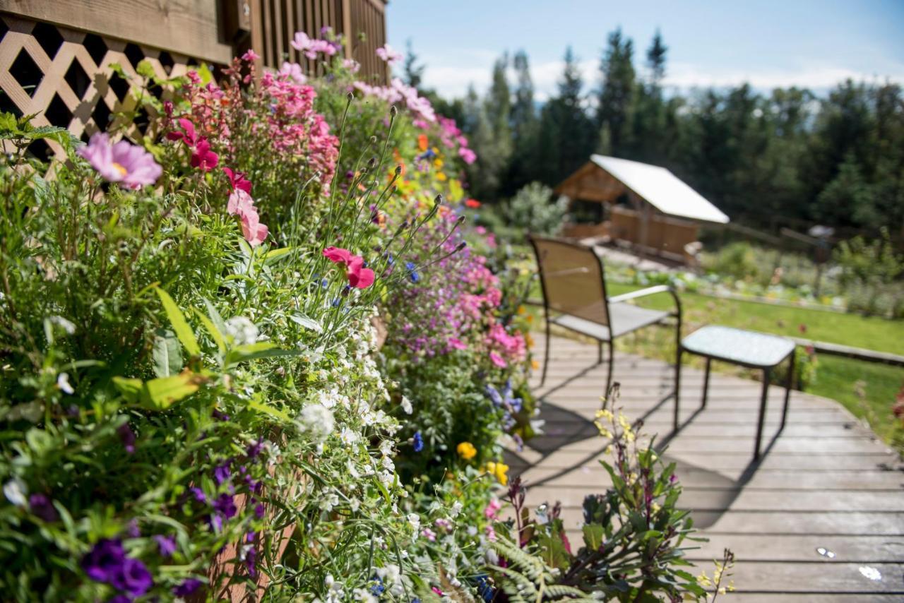 Bed and Breakfast Bear Creek Winery And Lodging Homer Exteriér fotografie